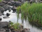Sweden 2006-04 143